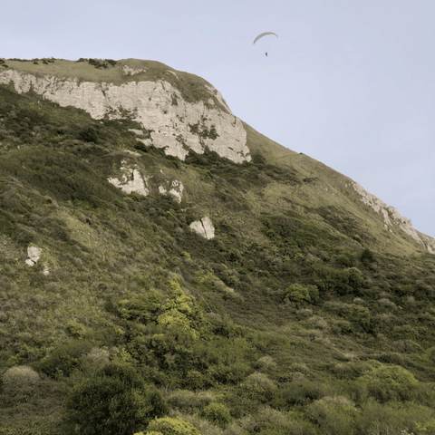 The undercliff