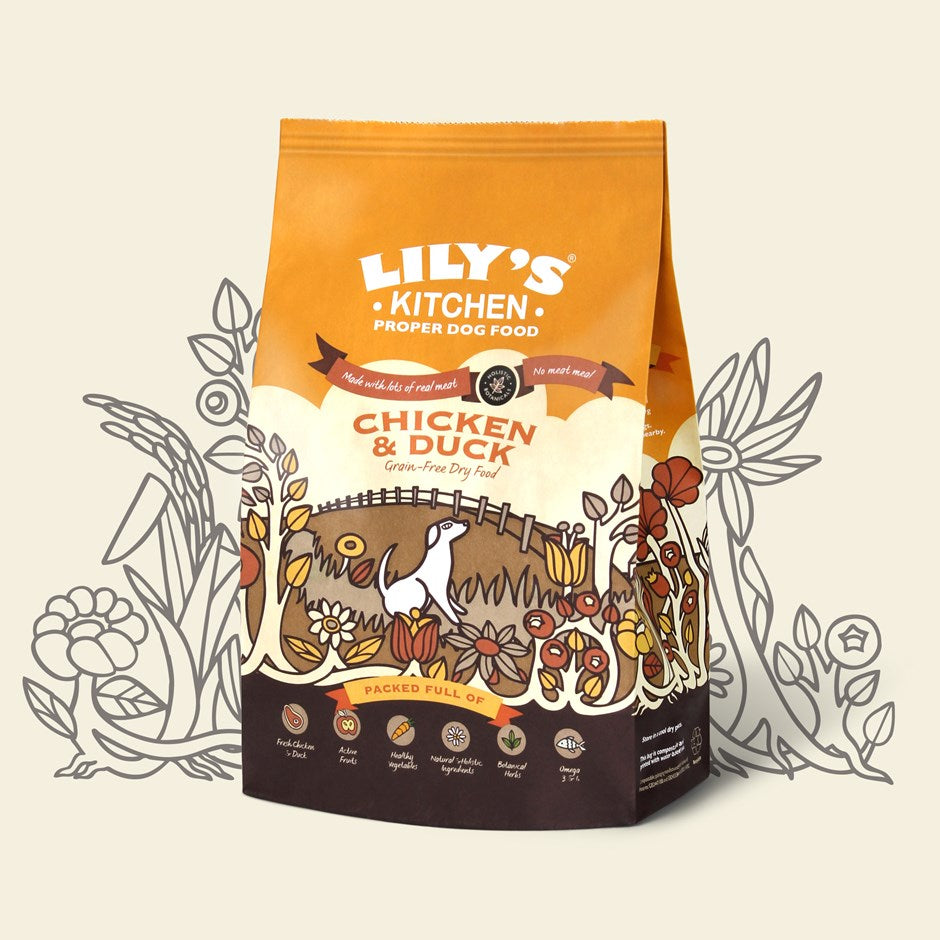 lily's kitchen dog food