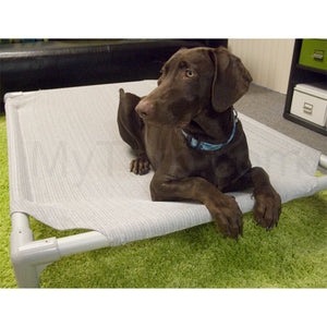 coolaroo dog bed frame