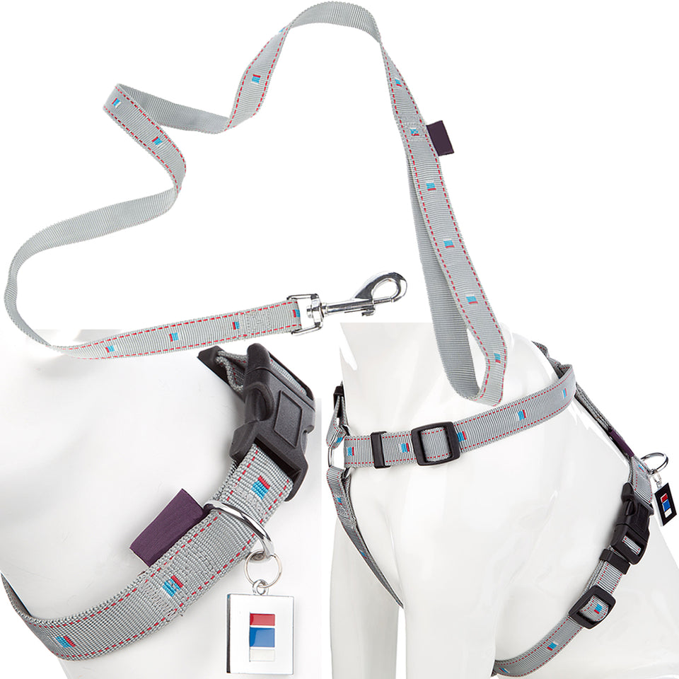 dog collar leash harness set