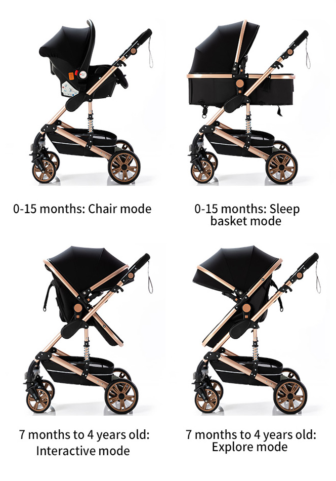 Premium Baby Company - Cochecito Premium Baby Collection Aston 3 en 1 color  Black Zig Zag