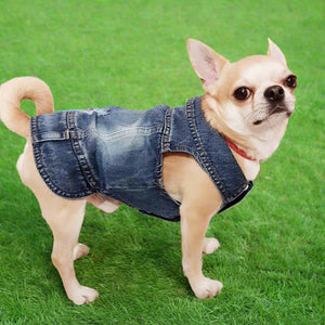 Distressed Denim Doggie Vest - Gravel Chic