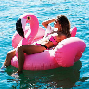 flamingo water tube