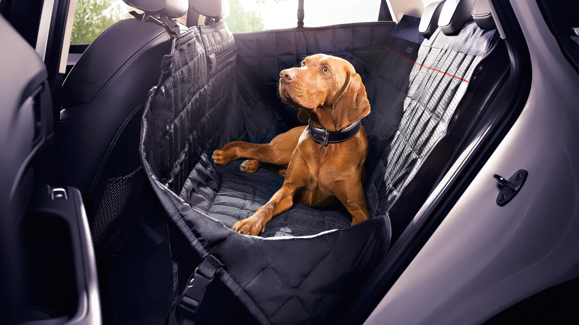 Rear Seat Protective Pet Blanket Audi Midtown Toronto