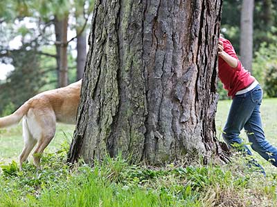 Play Hide and Seek with your dog