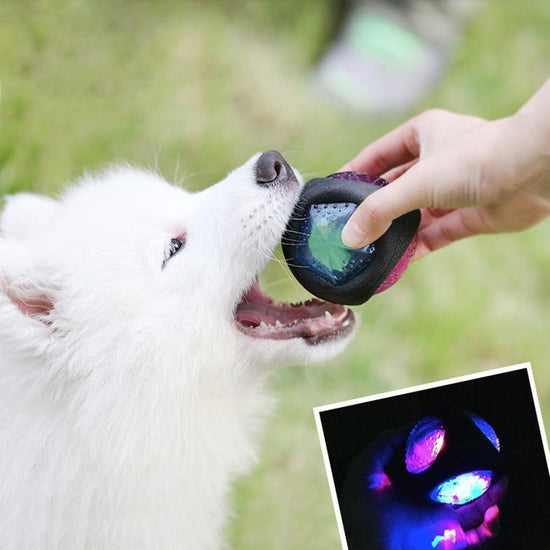 balls for dogs that light up