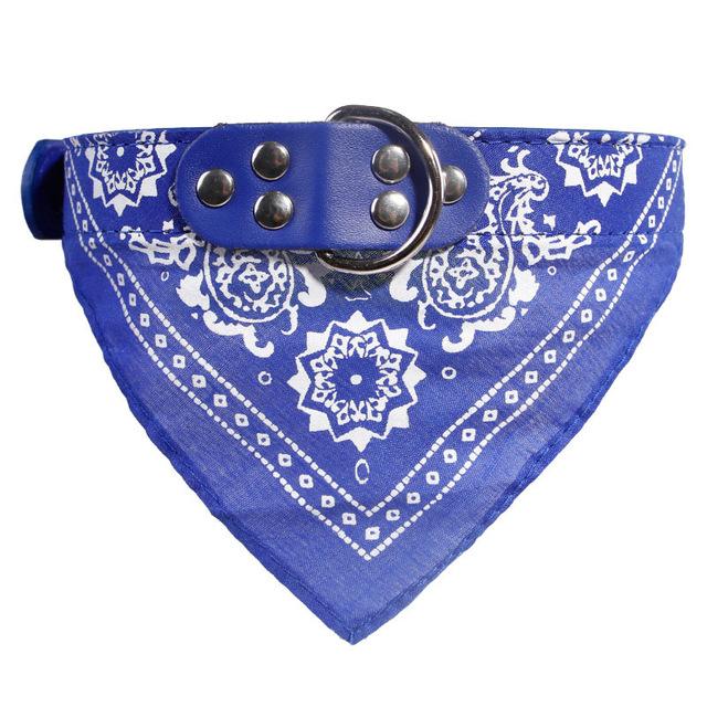 blue bandana dog collar