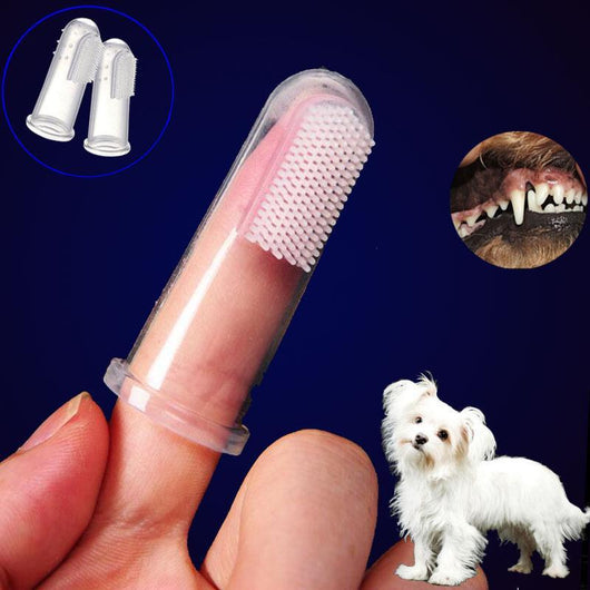 dog finger toothbrush