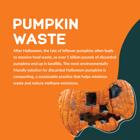 Pumpkin Waste