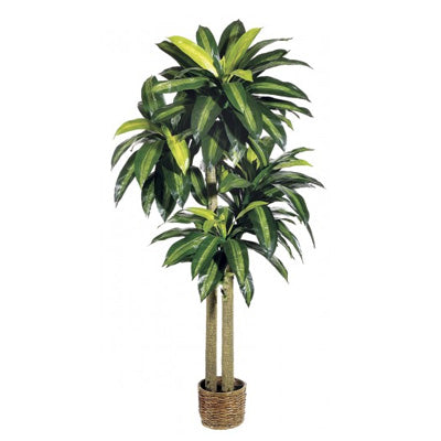 amazon artificial plants        
        <figure class=