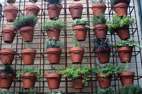 numerous flower pots