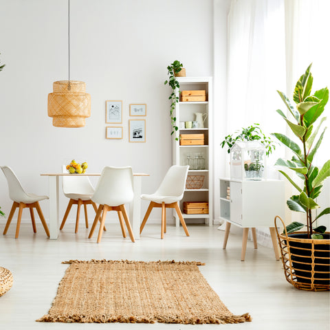 tall house plants decor