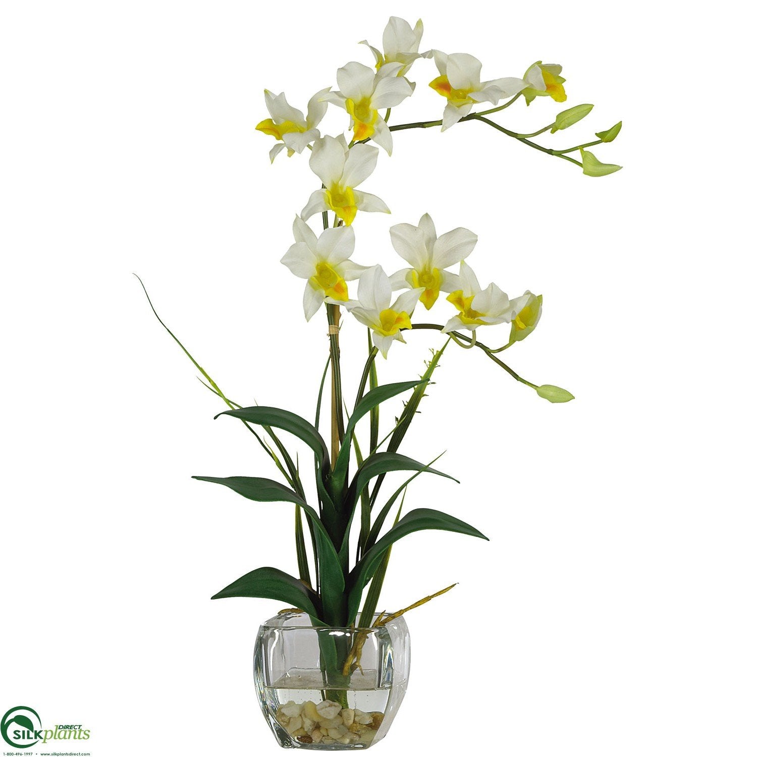 Silk Plants Direct Dendrobium Cream Pack of 1