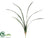 Cymbidium Orchid Leaf Spray - Green - Pack of 12