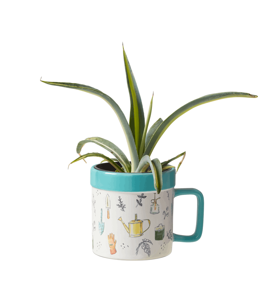 Two Way Teal Mug