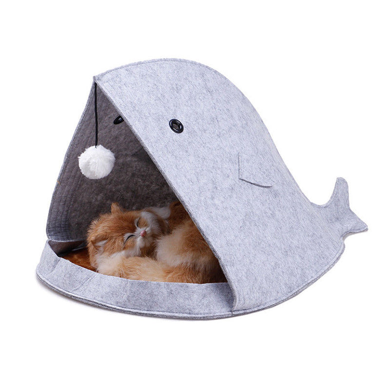 whale cat bed