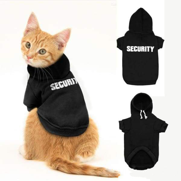 cat hoodie for cats