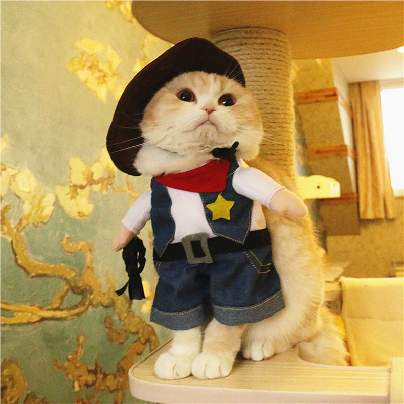 cat cowboy outfit