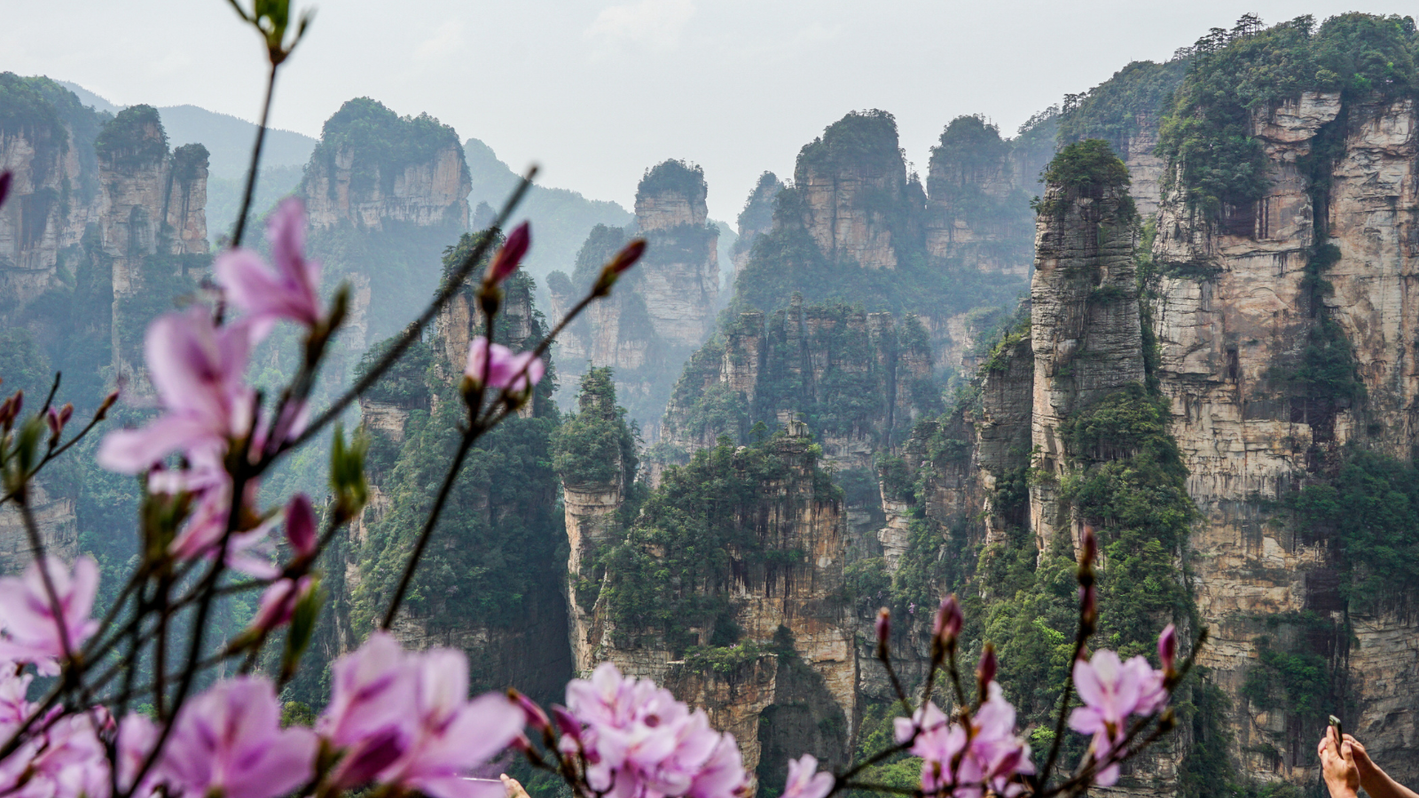 Zhangjiajie