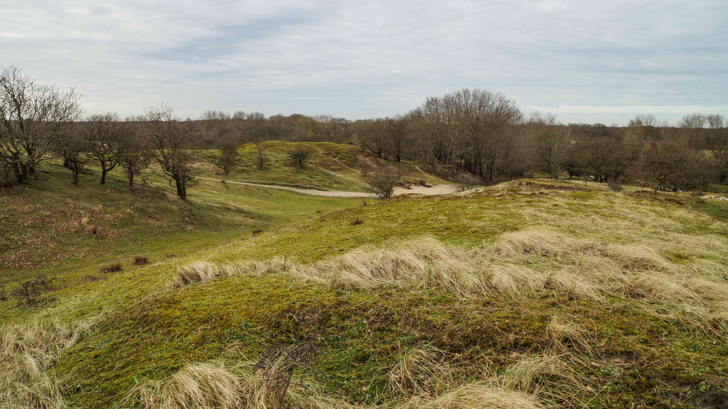 Amsterdamse Waterleidingduinen Wandelen