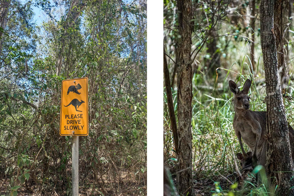 backpacken australie