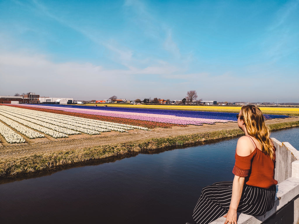 bloemenvelden