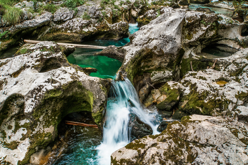 Bohinj mostnica