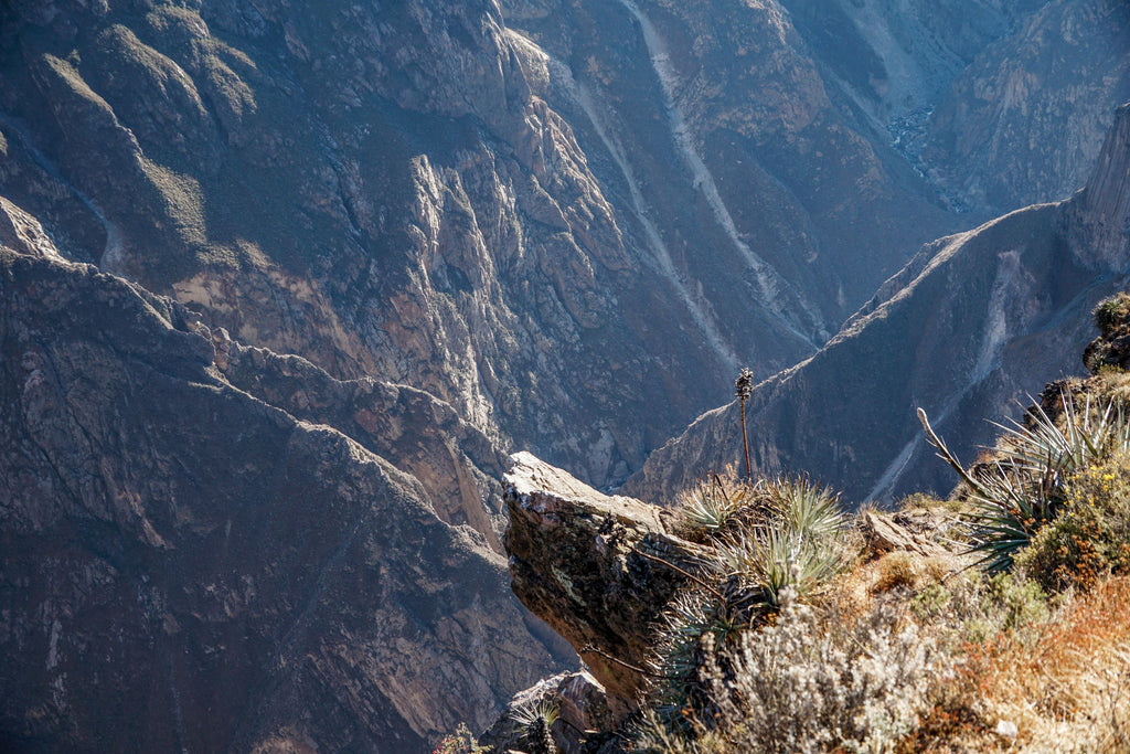 colca canyon