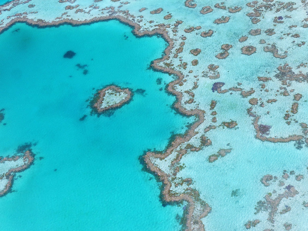 great barrier reef australie