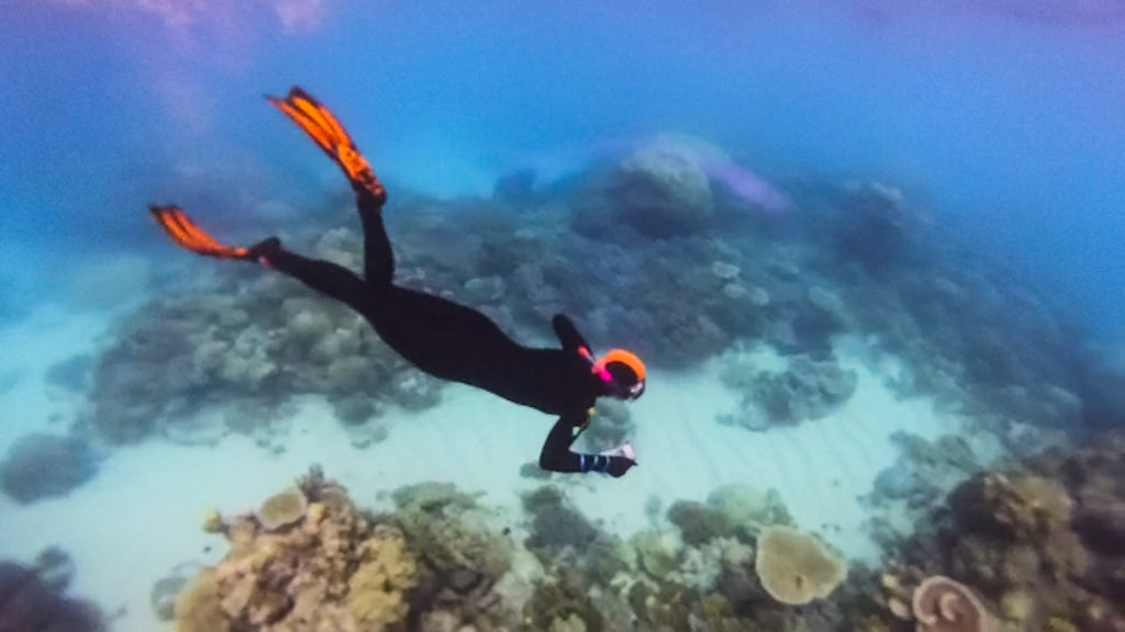 great barrier reef australie