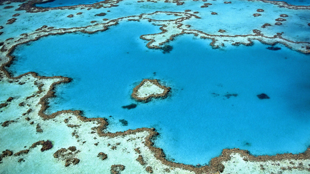 great barrier reef