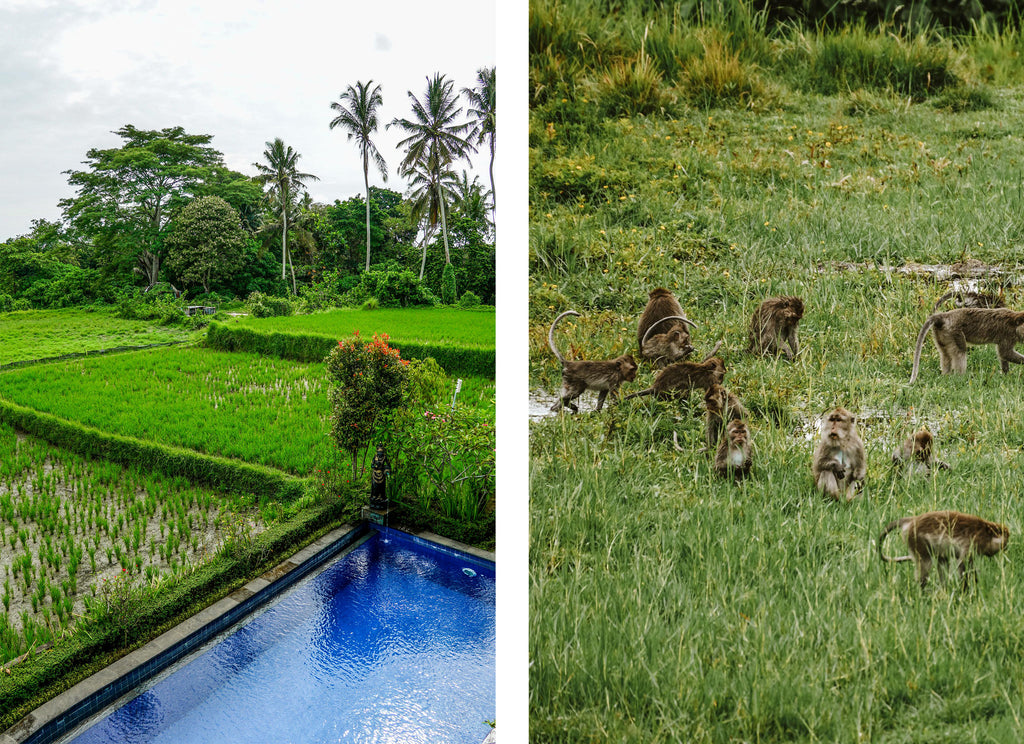 hotel ubud