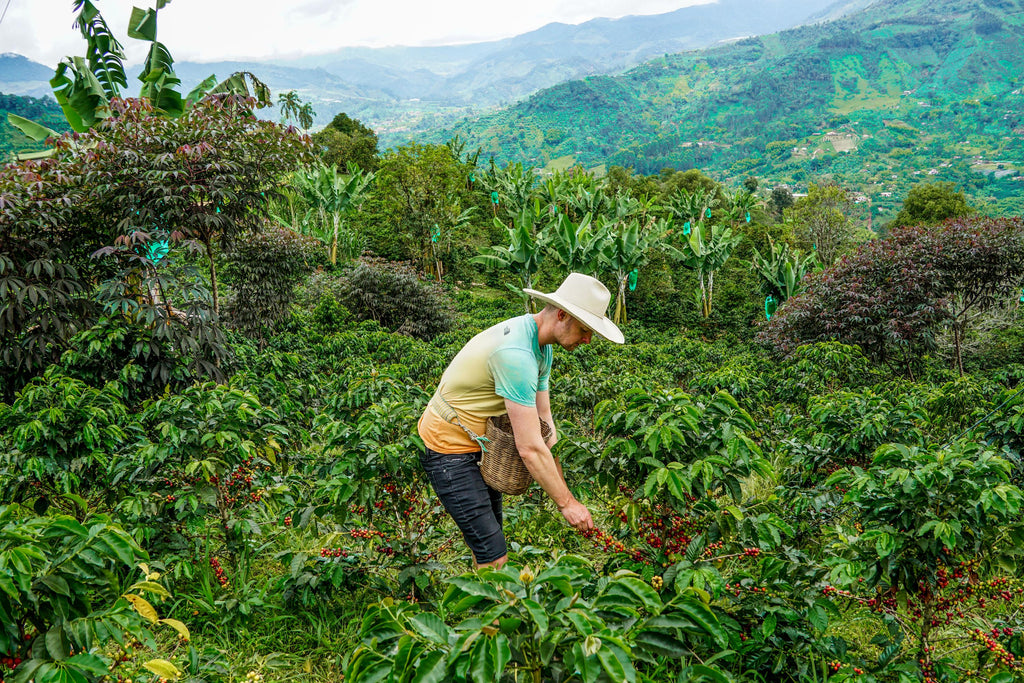 jardin colombia