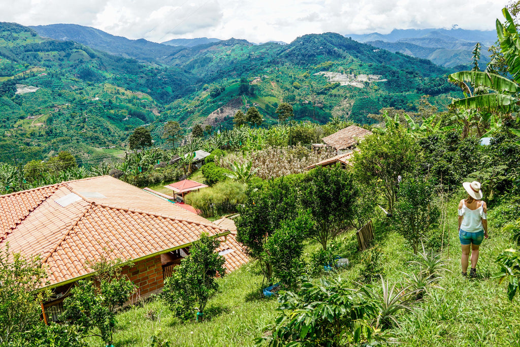 jardin colombia