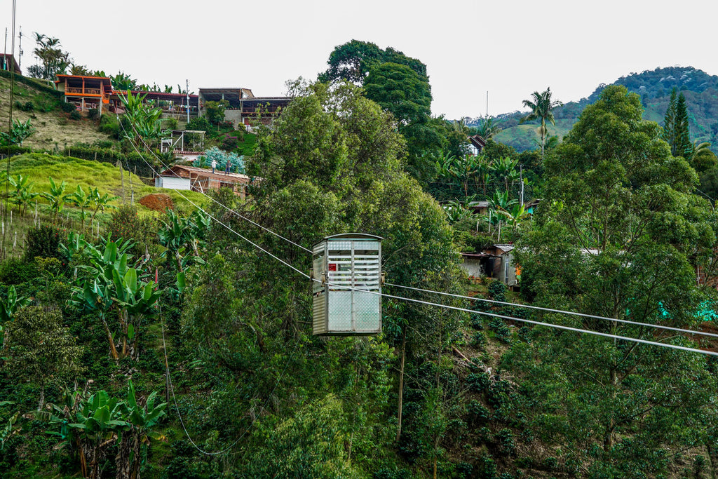 jardin colombia