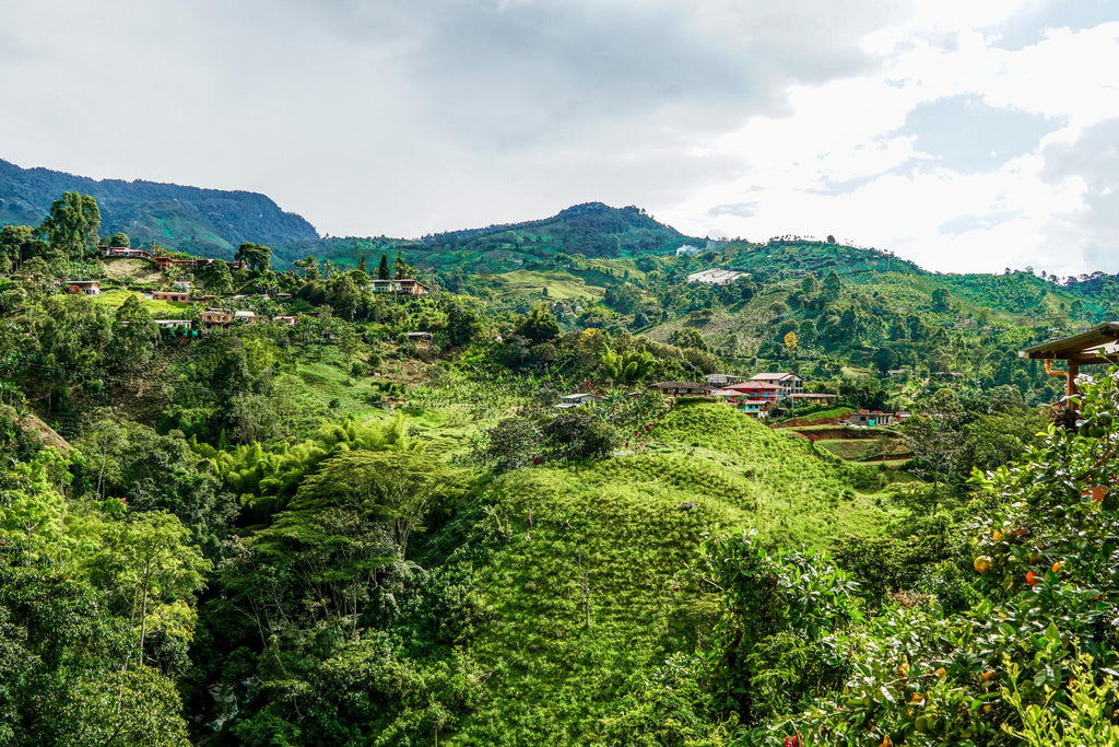 jardin colombia