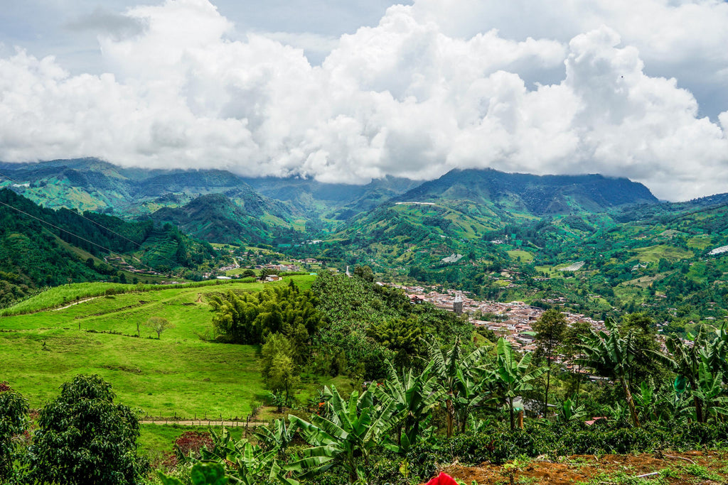 jardin colombia