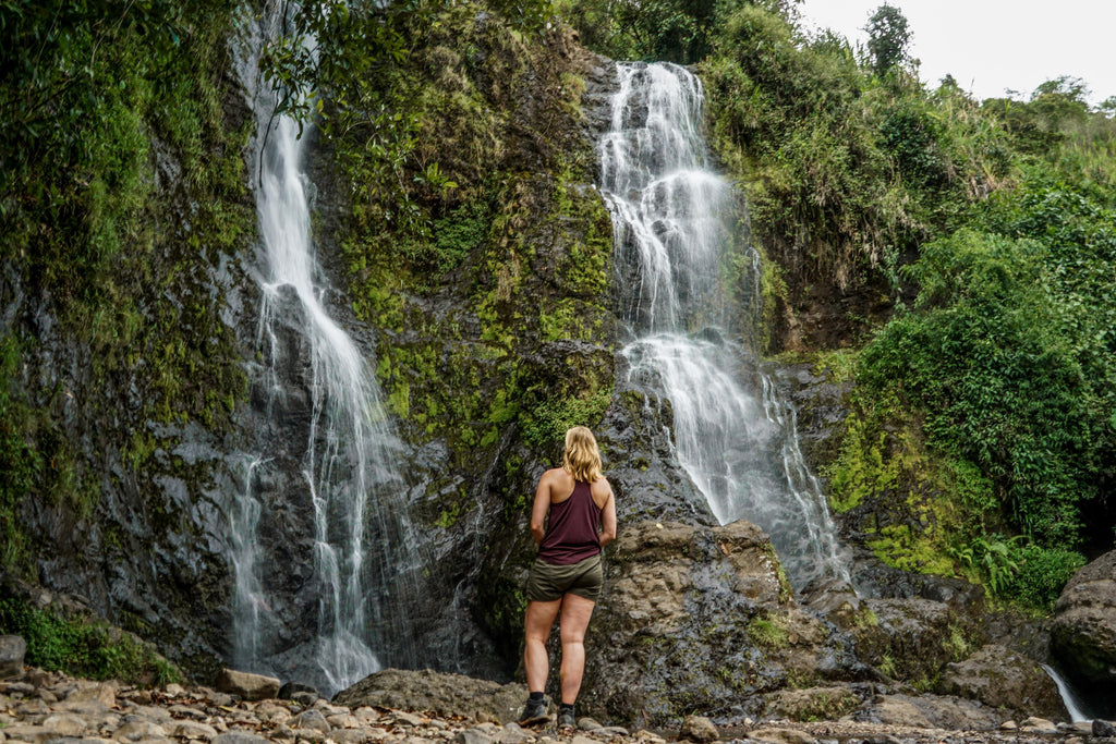 jardin colombia