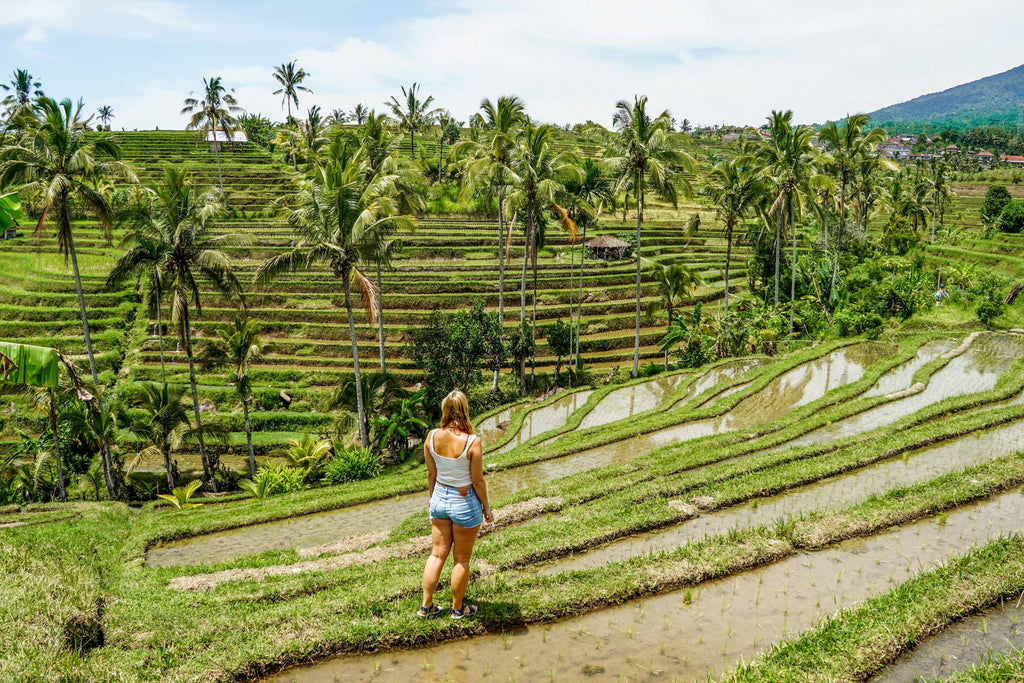 jatiluwih rijstvelden bali