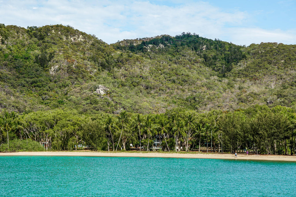 magnetic island