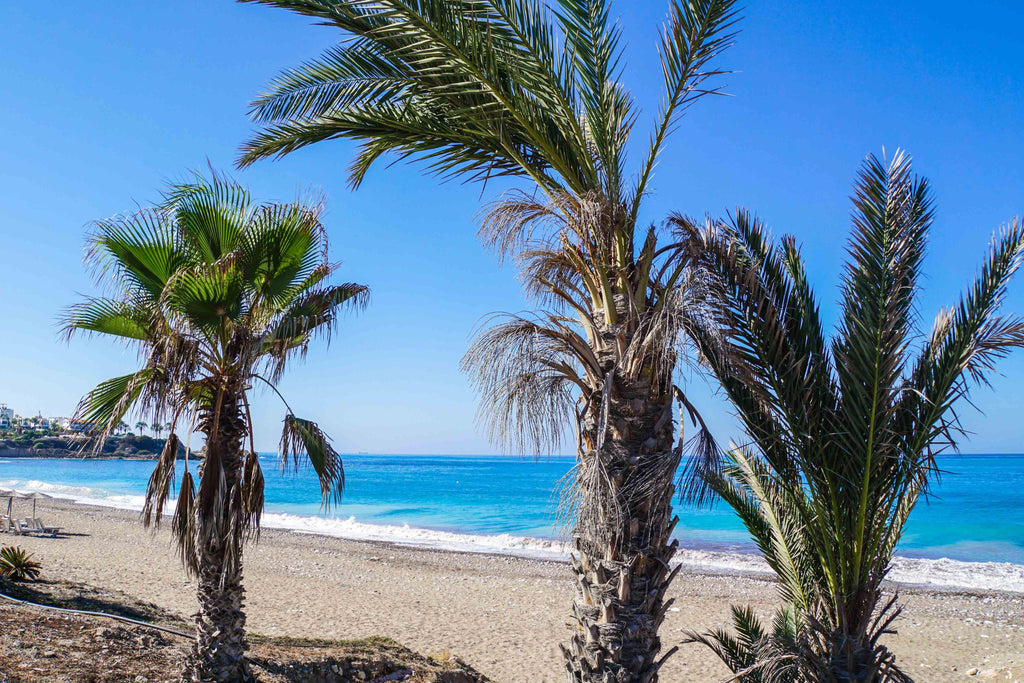 Mooiste stranden Cyprus