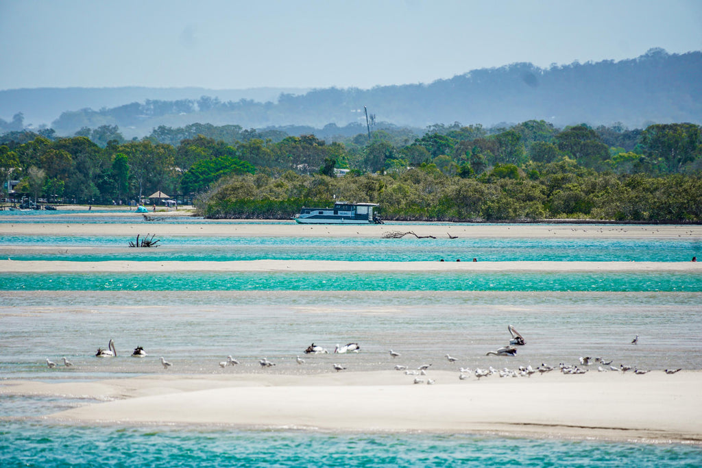 noosa rivermouth