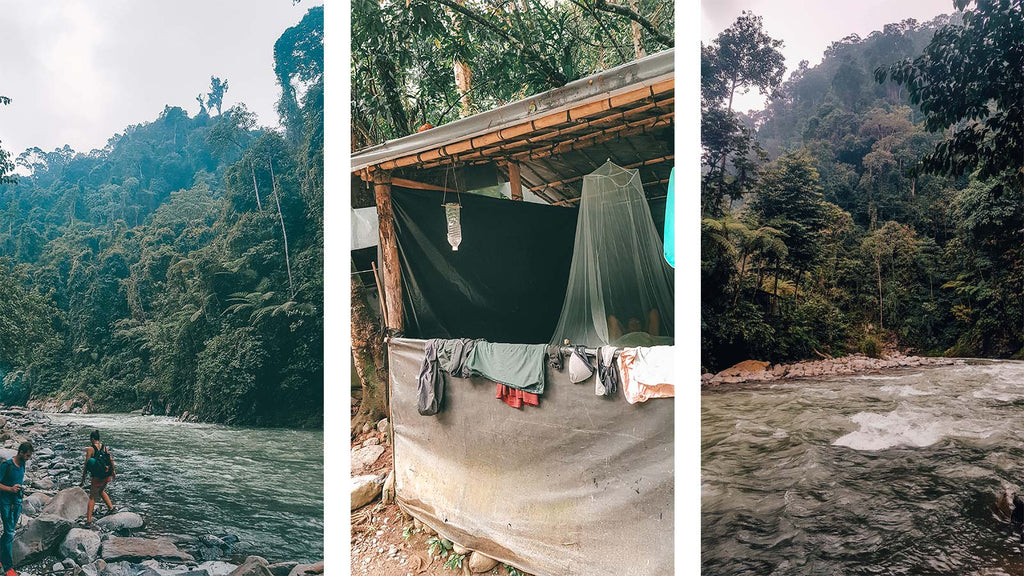 orang-oetans sumatra bukit lawang