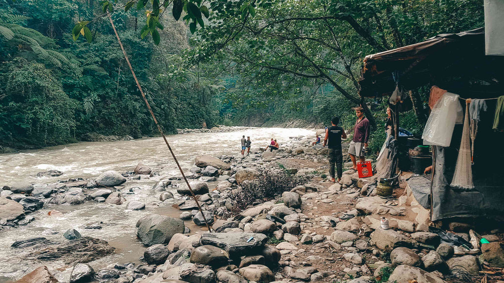 orang-oetans sumatra bukit lawang