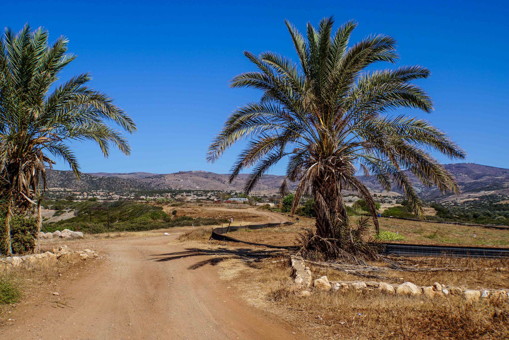 Pafos Cyprus