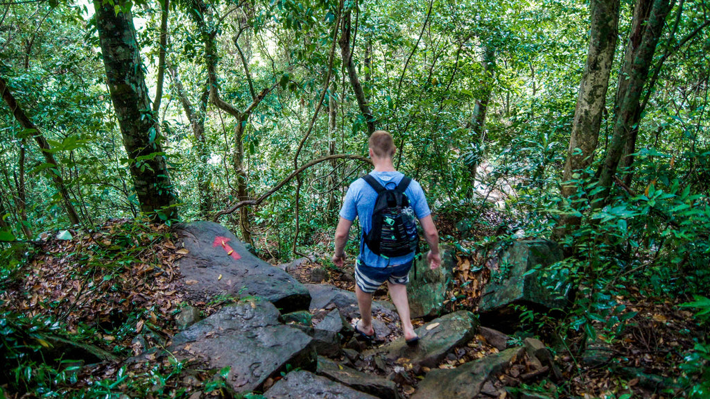 phong nha ke bang national park