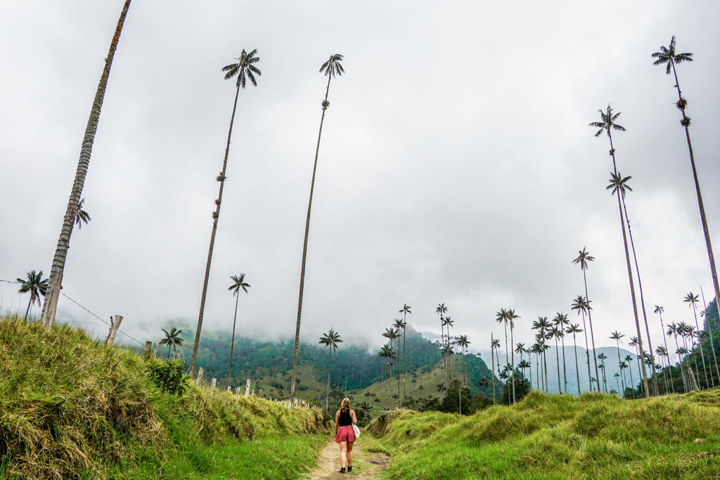 reisroute colombia