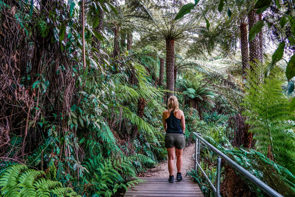 rondreis australie