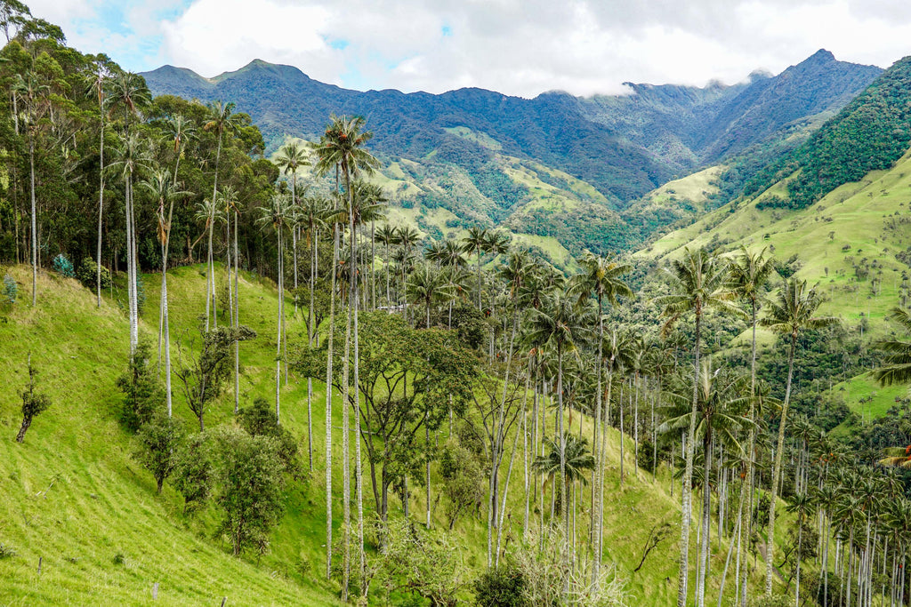 salento colombia