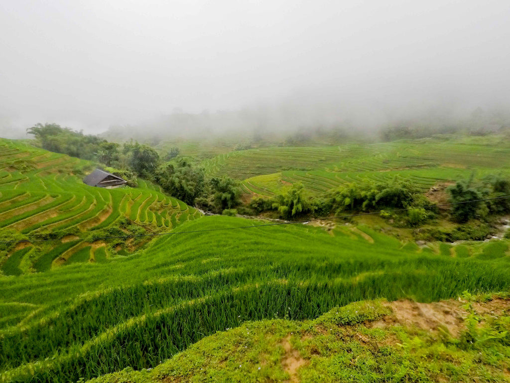 Sapa vietnam